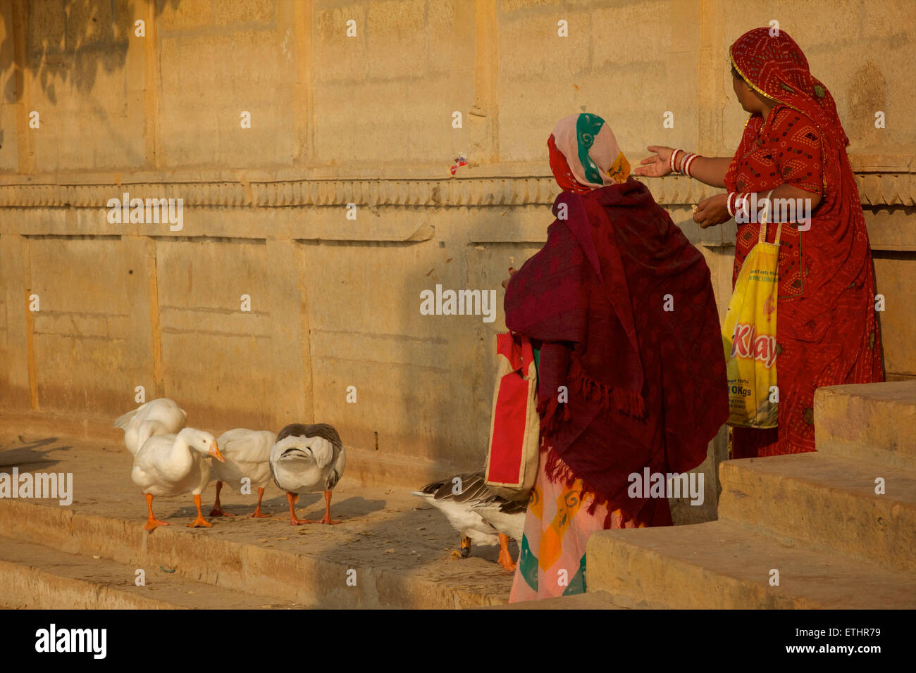 Les femmes indiennes en saris nourrir les canards à Gadi Sagar, Gadisar lake, Jaisalmer, Rajasthan, India Banque D'Images