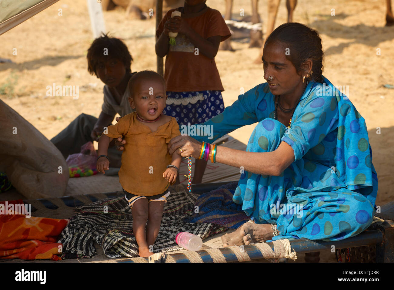 Femme du Rajasthan avec bébé chameau, Pushkar, Rajasthan, India juste Banque D'Images