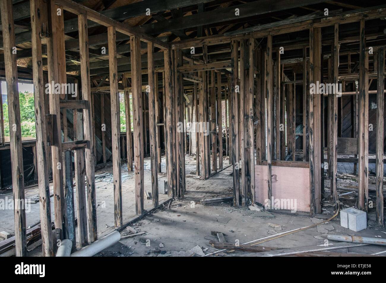 (150614) -- LA NOUVELLE ORLÉANS, le 14 juin 2015 (Xinhua) -- Photo prise le 10 juin 2015 montre l'intérieur d'une maison abandonnée en basse Ninth Ward, La Nouvelle-Orléans, Louisiane, États-Unis. Depuis l'été 2005, la Basse-Ninth Ward est devenu un dépotoir pour les choses. Herbe sauvage jusqu'à taille adulte prévaut dans la région, parmi lesquels l'wreckages de maisons abandonnées sont sinistrement. Dix ans après l'ouragan Katrina a la Nouvelle Orléans pour ses genoux et laissé une empreinte émotionnelle à travers les États-Unis en tant que personnes vu comment le gouvernement américain n'a pas réussi à répondre rapidement, un predo Banque D'Images