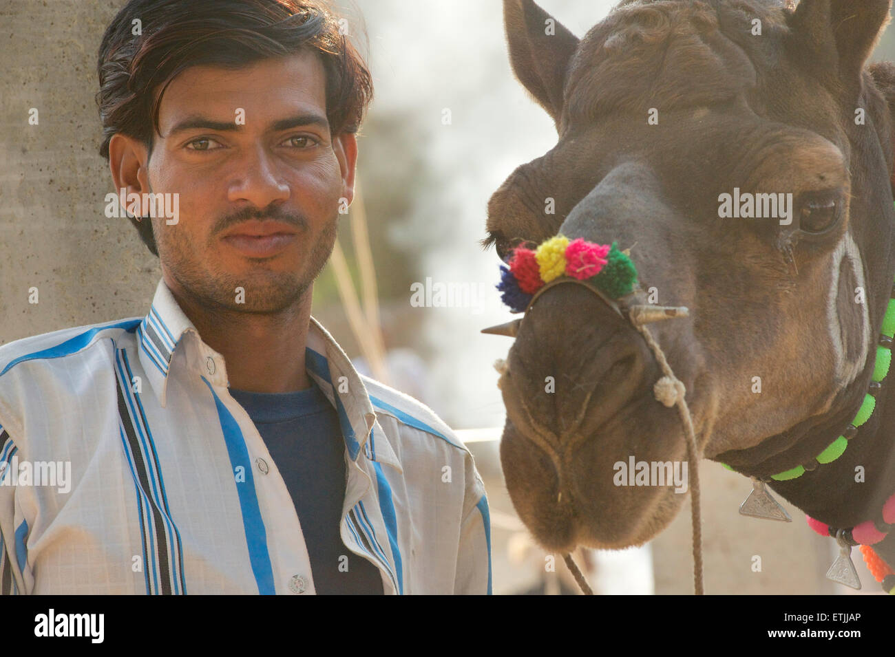 L'homme indien avec camel au chameau de Pushkar Fair, Pushkar, Rajasthan, India Banque D'Images