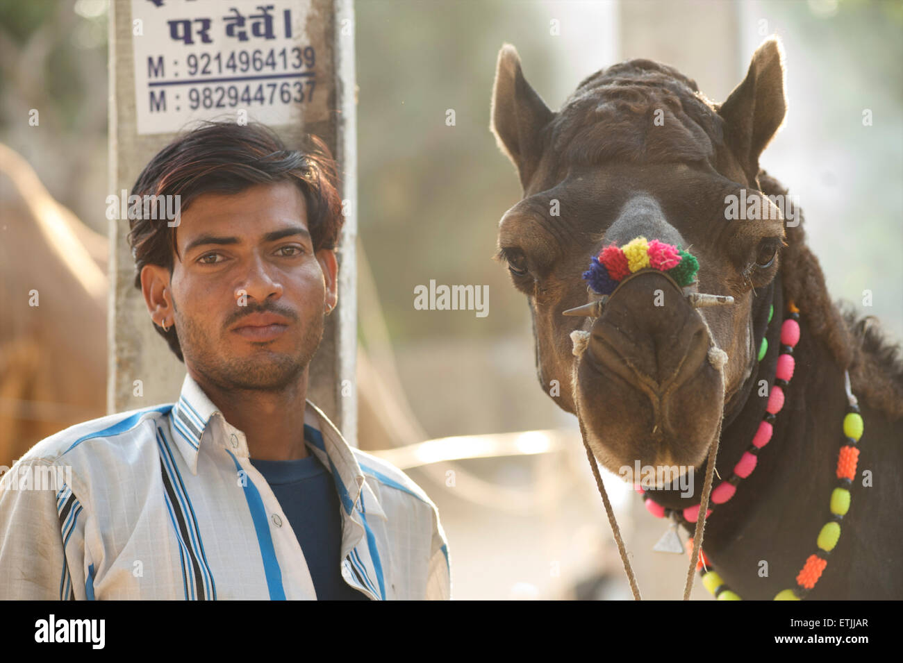 L'homme indien avec camel au chameau de Pushkar Fair, Pushkar, Rajasthan, India Banque D'Images