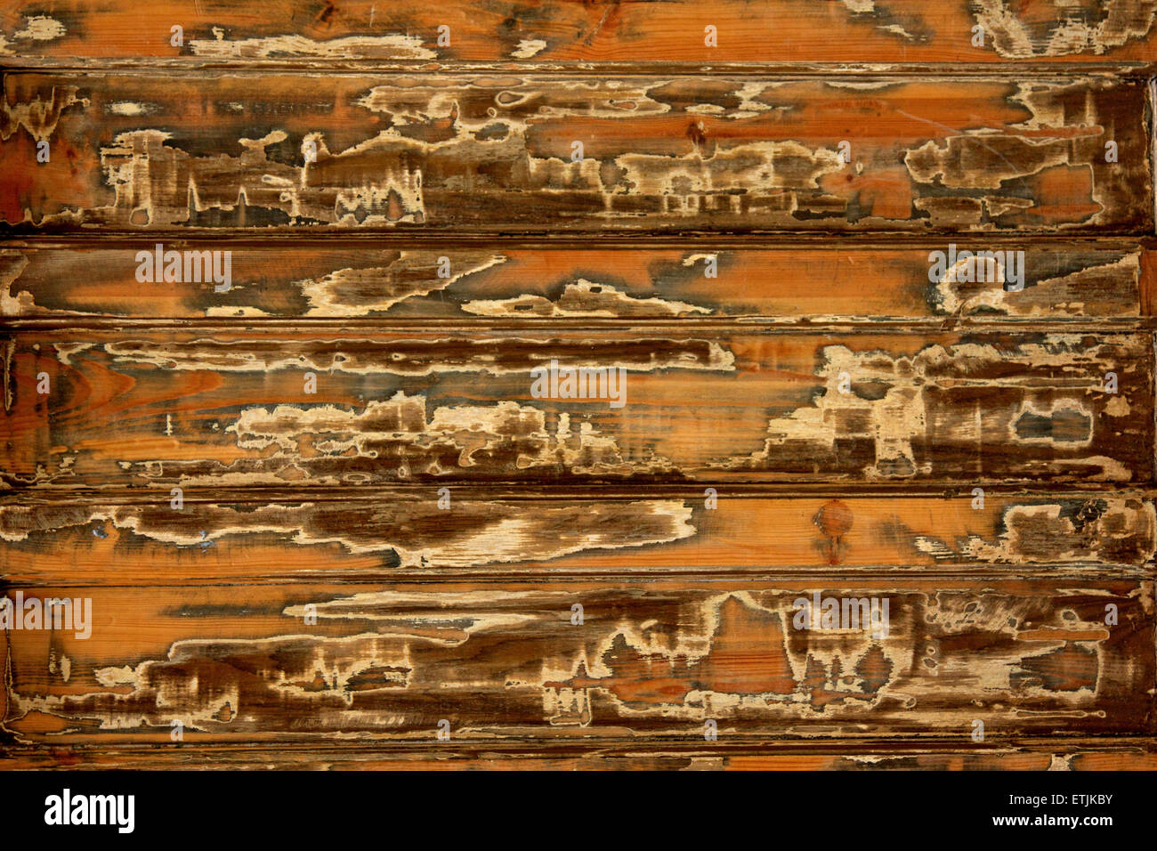 Écaille le vernis du plancher Banque D'Images