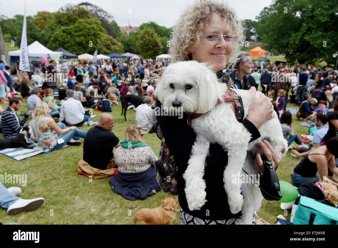 Brighton, UK. 14 Juin, 2015. Ce chien voulait être menées à l'assemblée annuelle dans le parc de l'Écorce Dog Show tenu à Queen's Park à Brighton Banque D'Images
