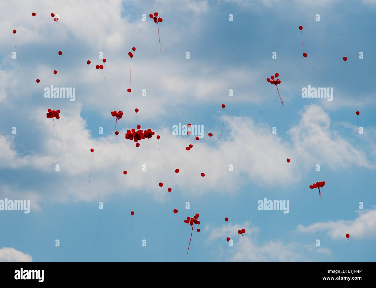 Ballons rouges ont été libérés dans l'air du pont de Stadtbruecke de Francfort/Oder, Allemagne, 14 juin 2015. La Journée mondiale du don de sang est célébrée le jour de l'anniversaire de la Karl Landsteiner (1868-1943), pionnier de la médecine transfusionnelle. Trois événements don de sang intitulée "Gemeinsam für die freiwillige und unentgeltliche Blutspende en Europa" (lit. Ensemble pour le don de sang volontaire et gratuit en Europe) sont organisées en collaboration avec le service de don de sang polonais près de la frontière germano-polonaise pour la première fois sur cette journée. PHOTO : PATRICK PLEUL/dpa Banque D'Images