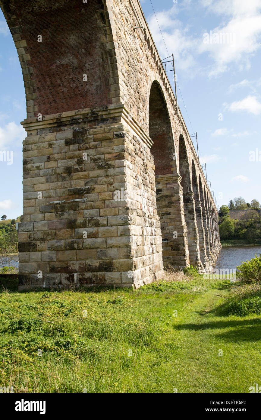 Des arches en pierre de viaduc ferroviaire crossing River Tweed, Berwick-upon-Tweed, Northumberland, England, UK Banque D'Images