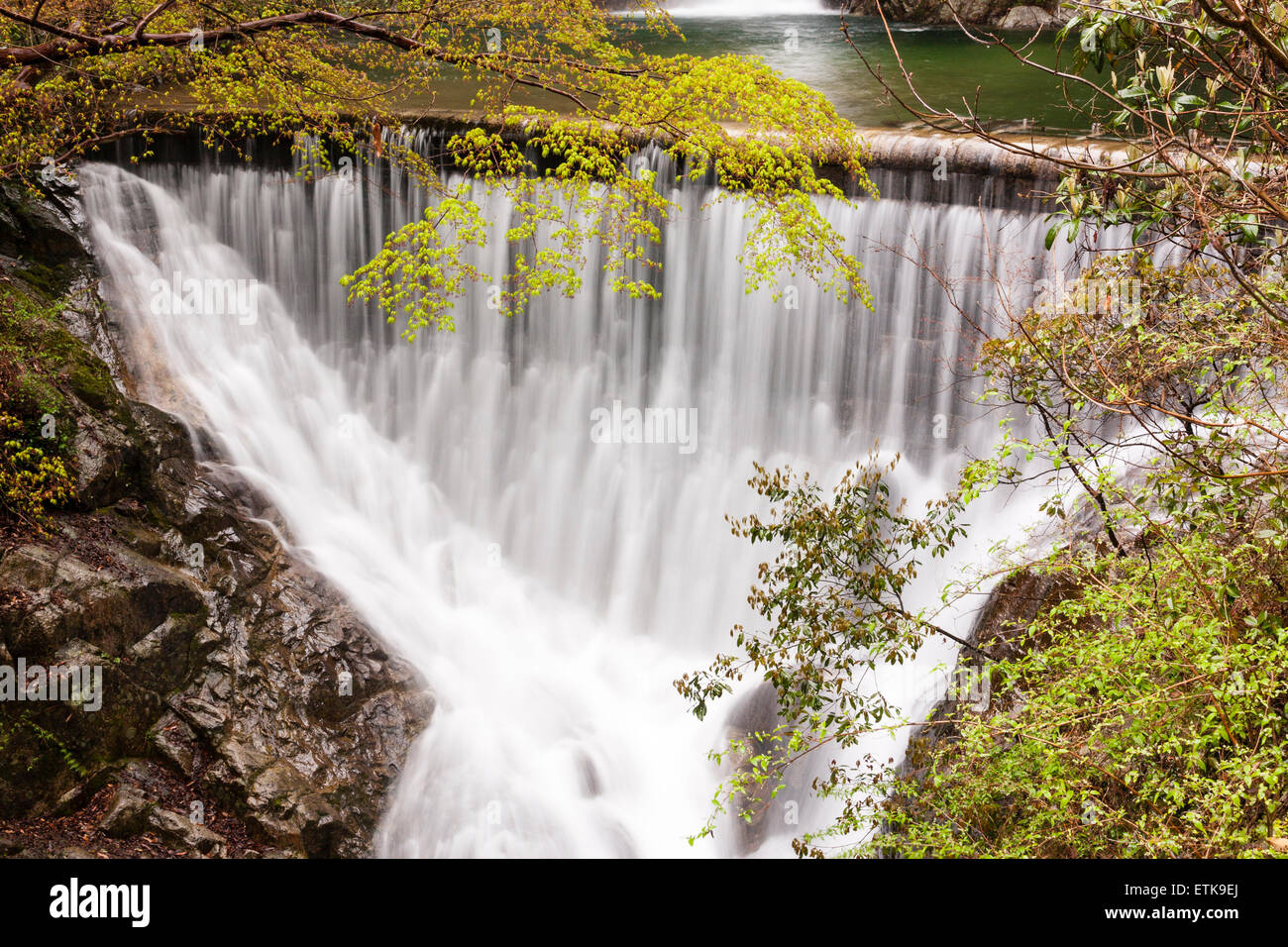 Célèbre beauty spot à Kobe, l'Nunobiki cascades. À la base du Men-taki waterfall l'eau coule sur une fiche. Le printemps. Banque D'Images