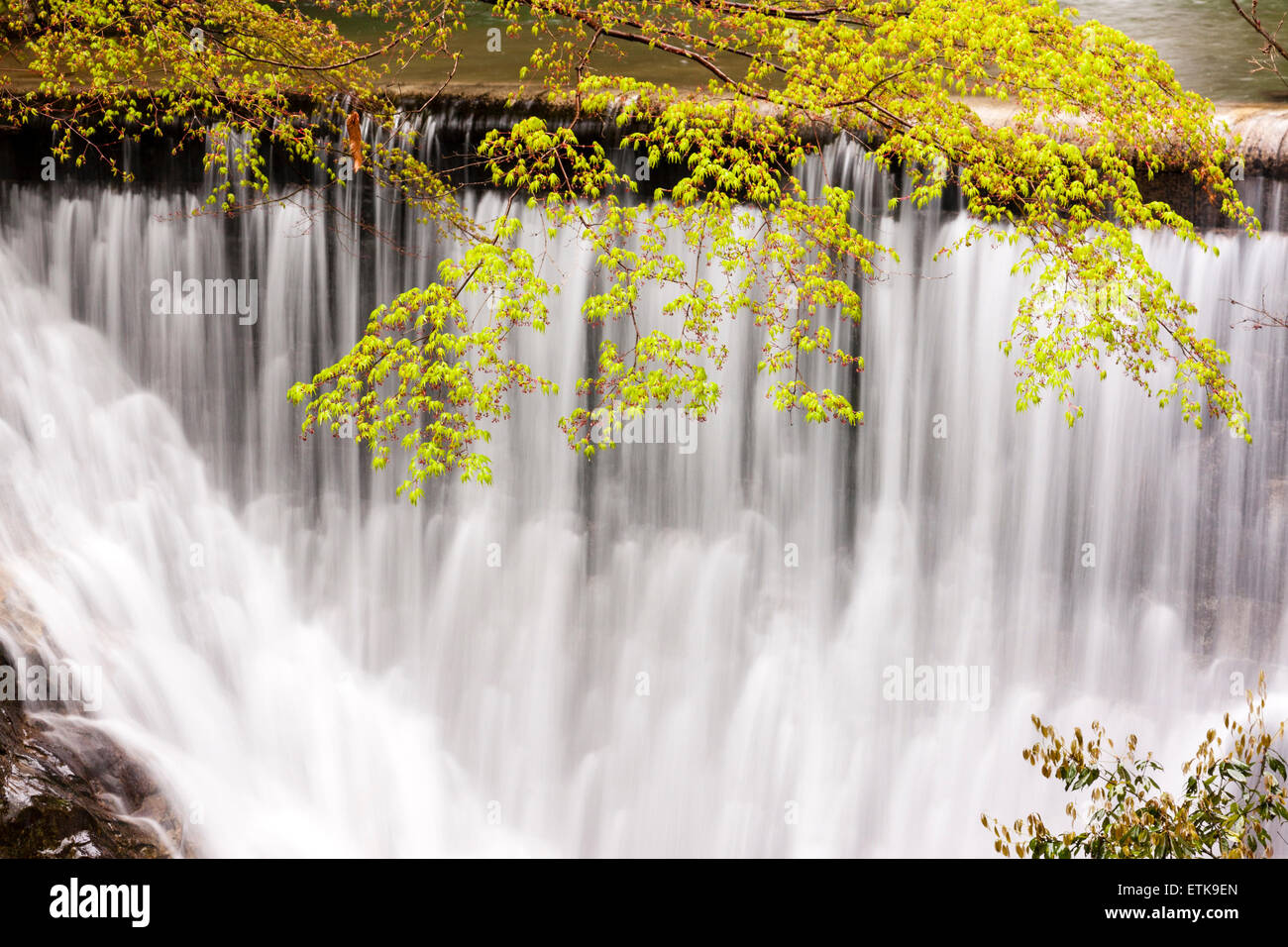 Célèbre beauty spot à Kobe, l'Nunobiki cascades. À la base du Men-taki waterfall l'eau coule sur une fiche. Le printemps. Banque D'Images