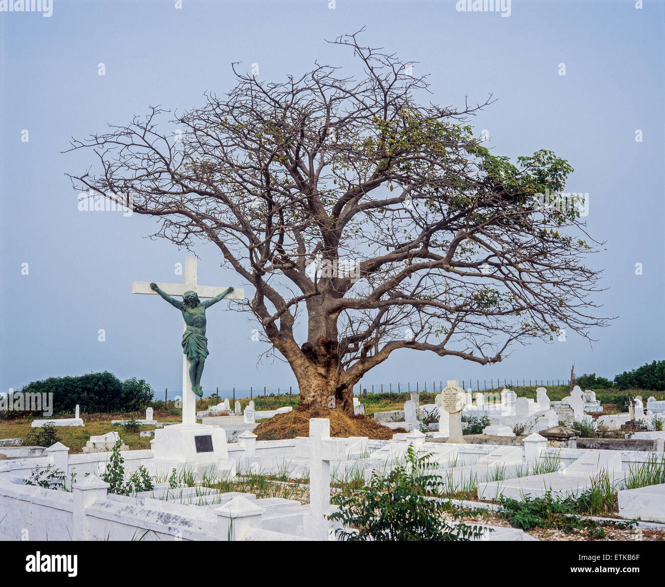 Cimetière chrétien avec crucifix et baobab, Gambie, Afrique de l'Ouest Banque D'Images