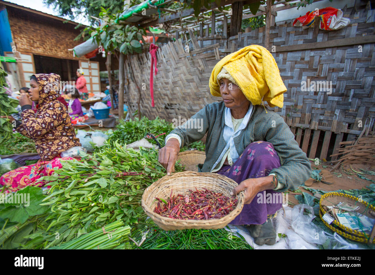 Femme vendant des piments au marché au Myanmar Monywa Banque D'Images
