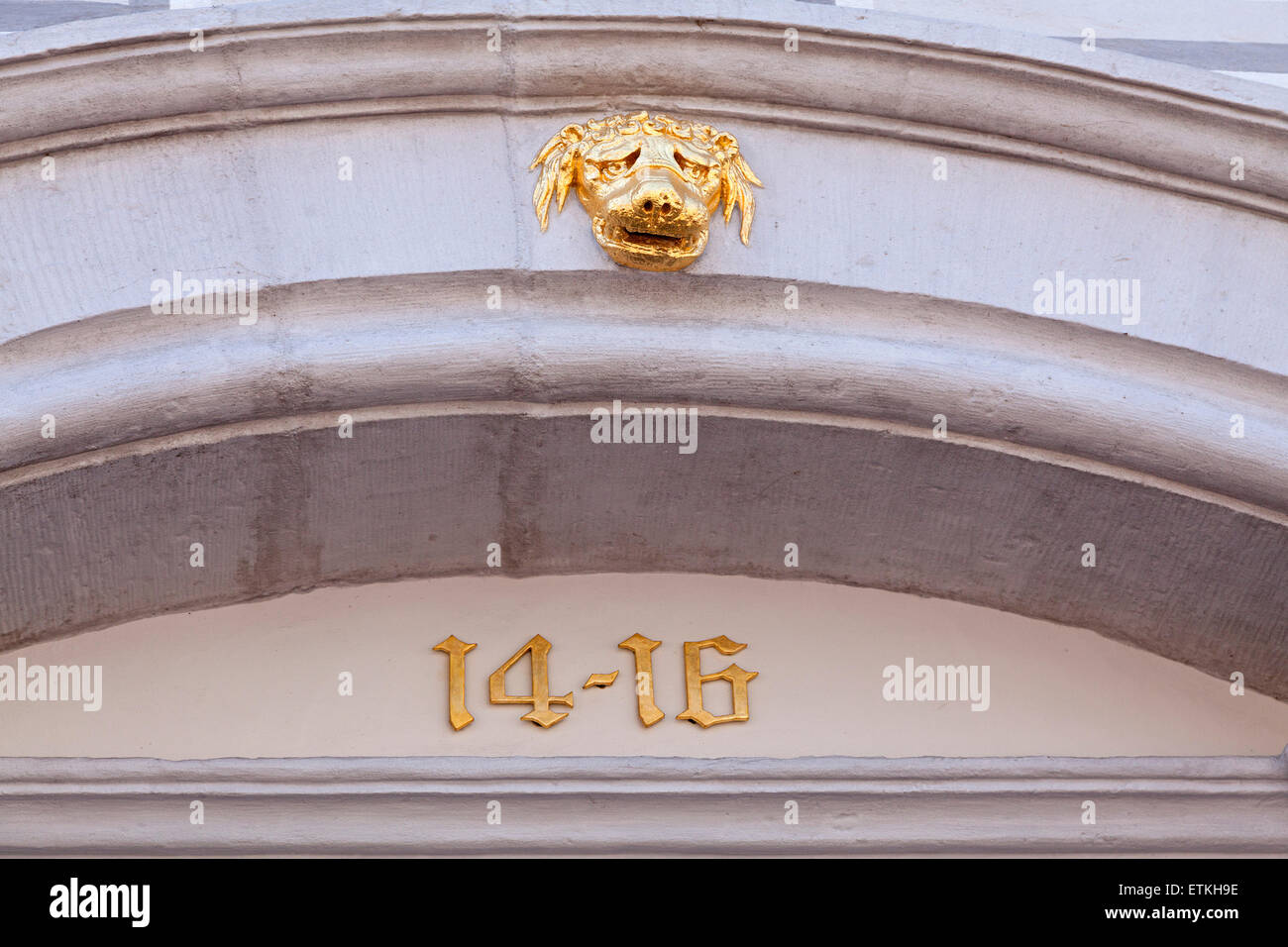 Tête de chien sur la paroi de la maison de ville, Celle, Basse-Saxe, Allemagne Banque D'Images