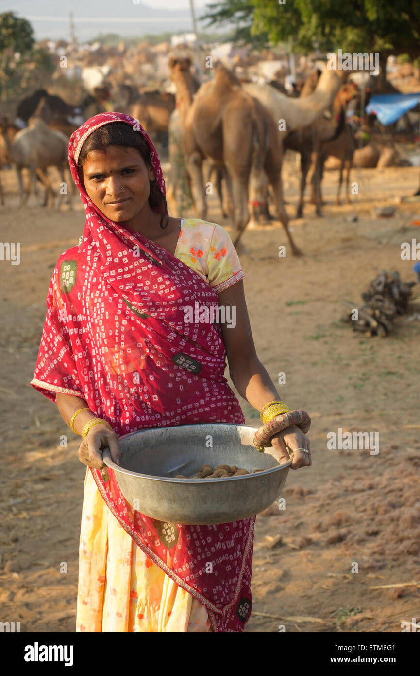 Femme indienne en sari la collecte des excréments de chameaux au chameau de Pushkar Fair, Rajasthan, Inde Banque D'Images