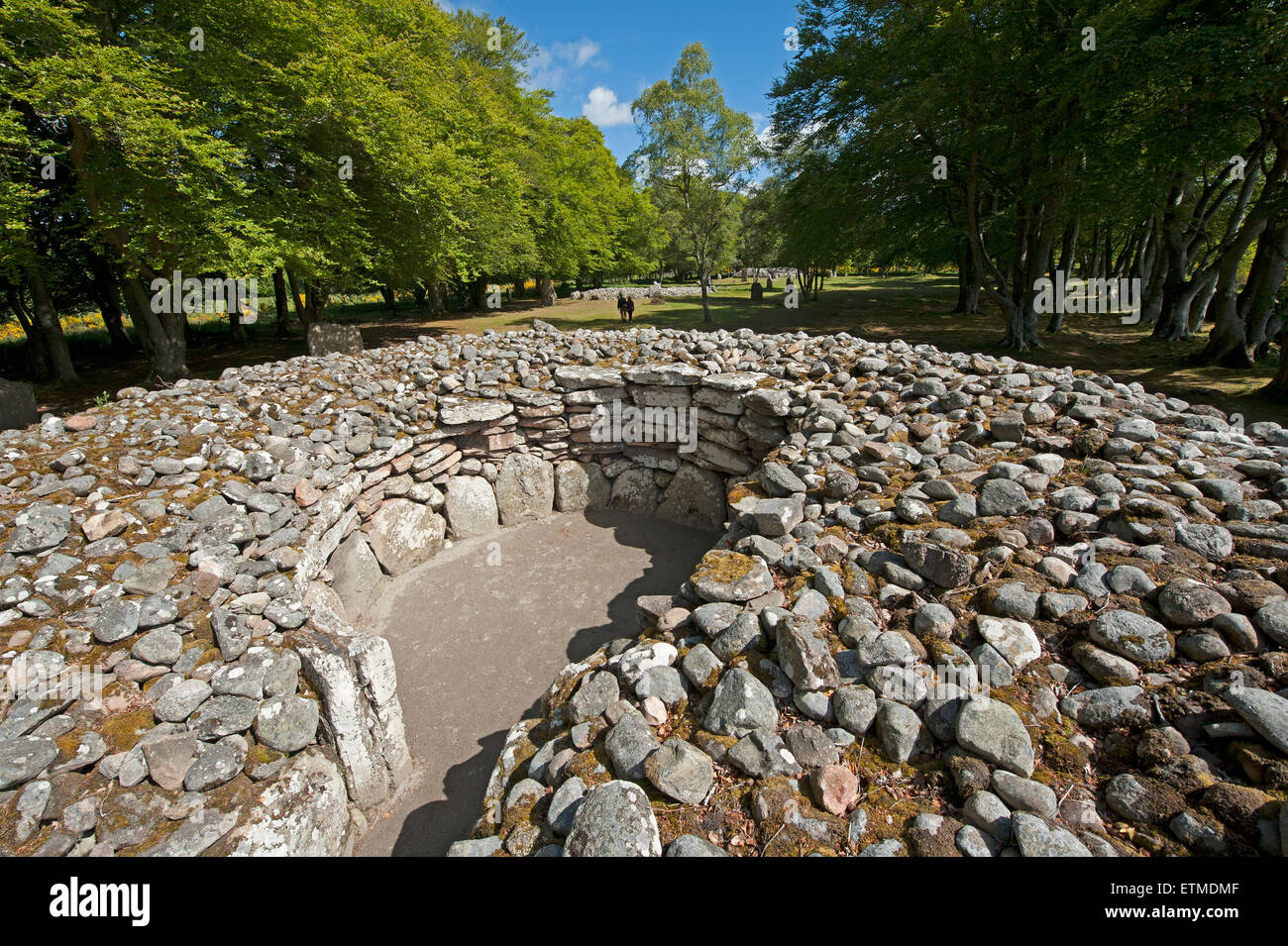 La sépulture néolithique préhistorique à l'Balnuran Clava Cairns, près de Culloden, Inverness-shire. 9861 SCO. Banque D'Images