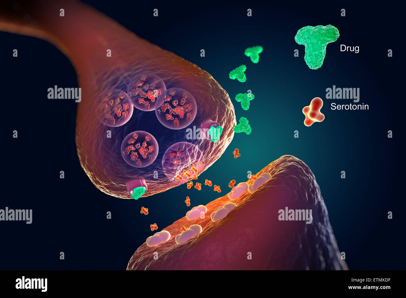 Illustration montrant la mécanique biomédical de sérotonine drogues Banque D'Images