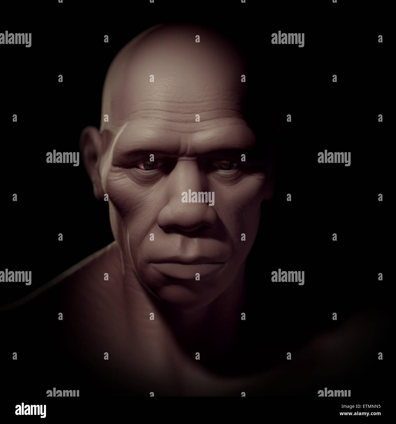 L'inscription d'un Homo Sapiens, ou l'homme moderne. Banque D'Images