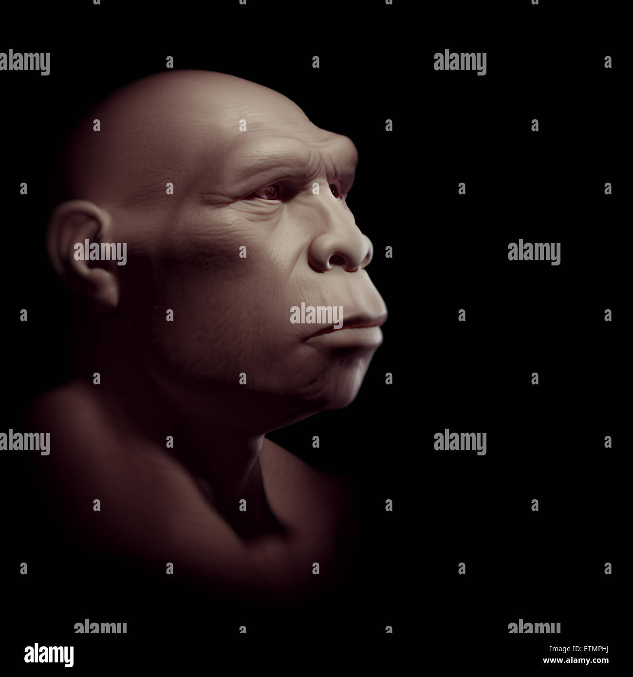 L'inscription d'un Homo Erectus, une espèce d'hominidés et ancêtre de l'Homo Sapiens. Banque D'Images