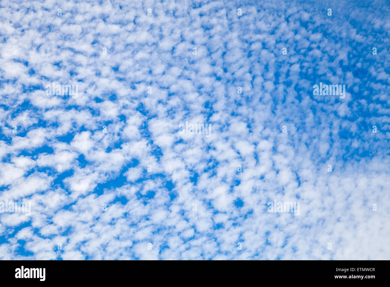 Le ciel bleu avec des nuages, la texture de la couche de fond photo Banque D'Images