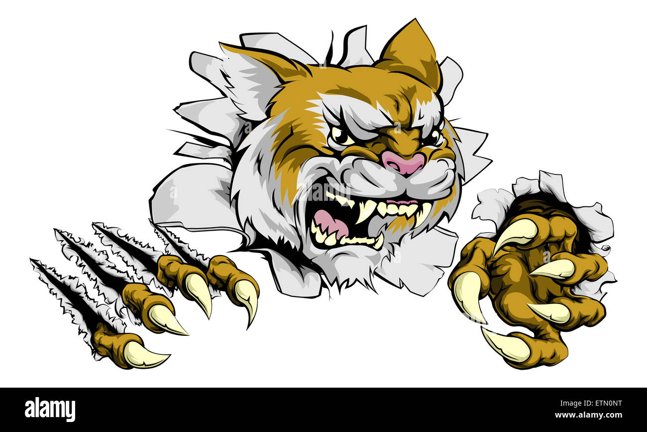 Un animal sauvage ou un couguar sports mascot briser un mur Banque D'Images