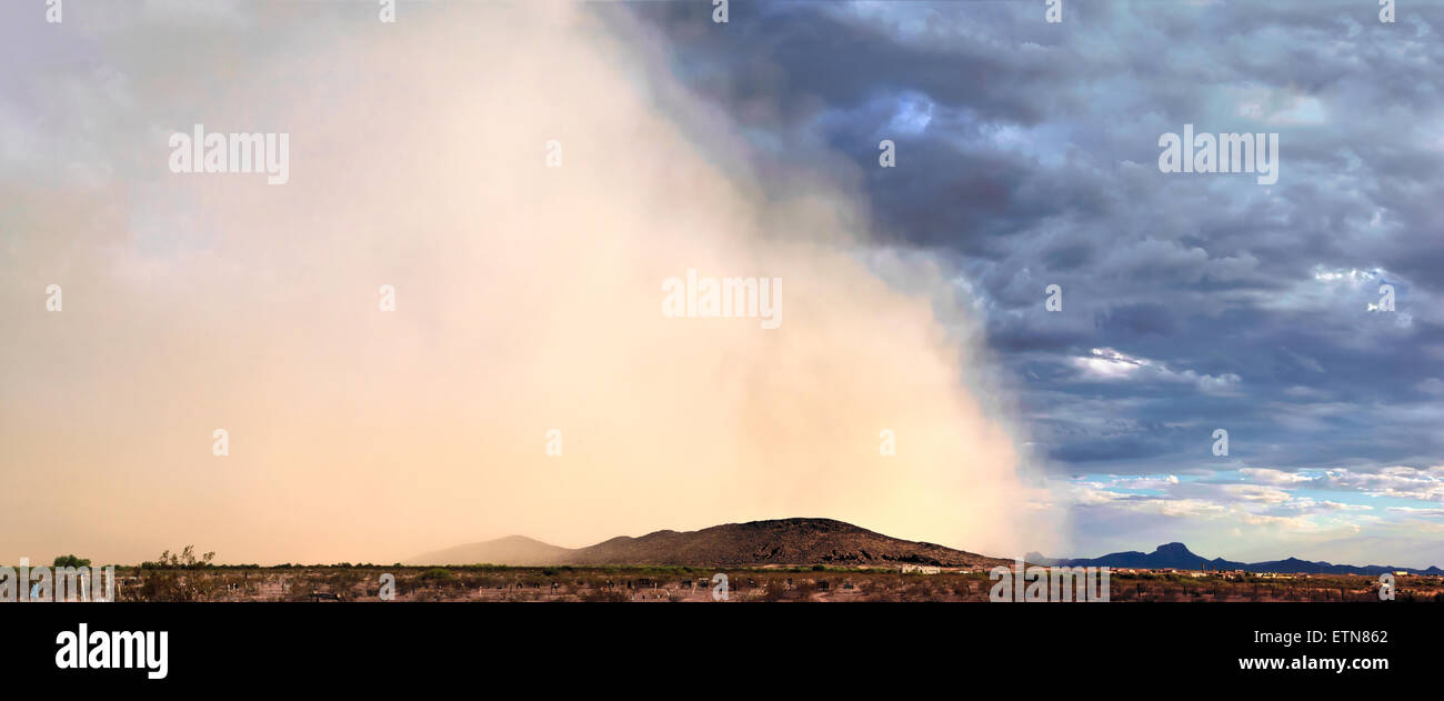 Tempête de sable (haboob), Arizona, USA Banque D'Images