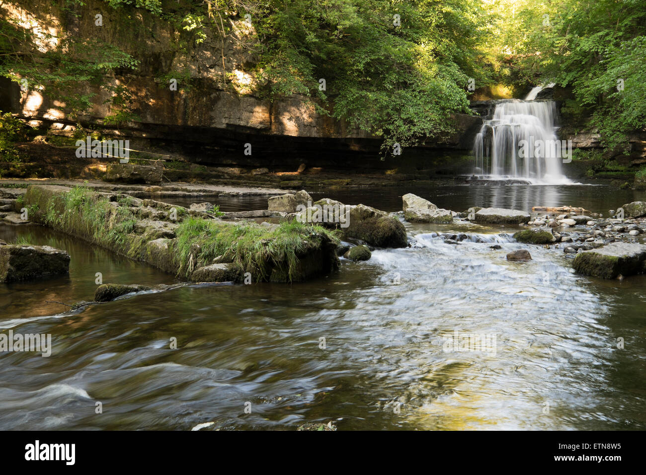 Chaudron Falls, Walden Beck, West Burton, Yorkshire Dales National Park, England Banque D'Images