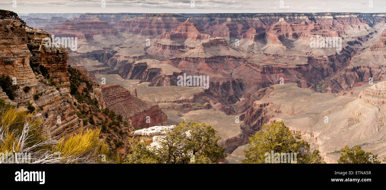 Panorama du Grand Canyon, Arizona, USA Banque D'Images
