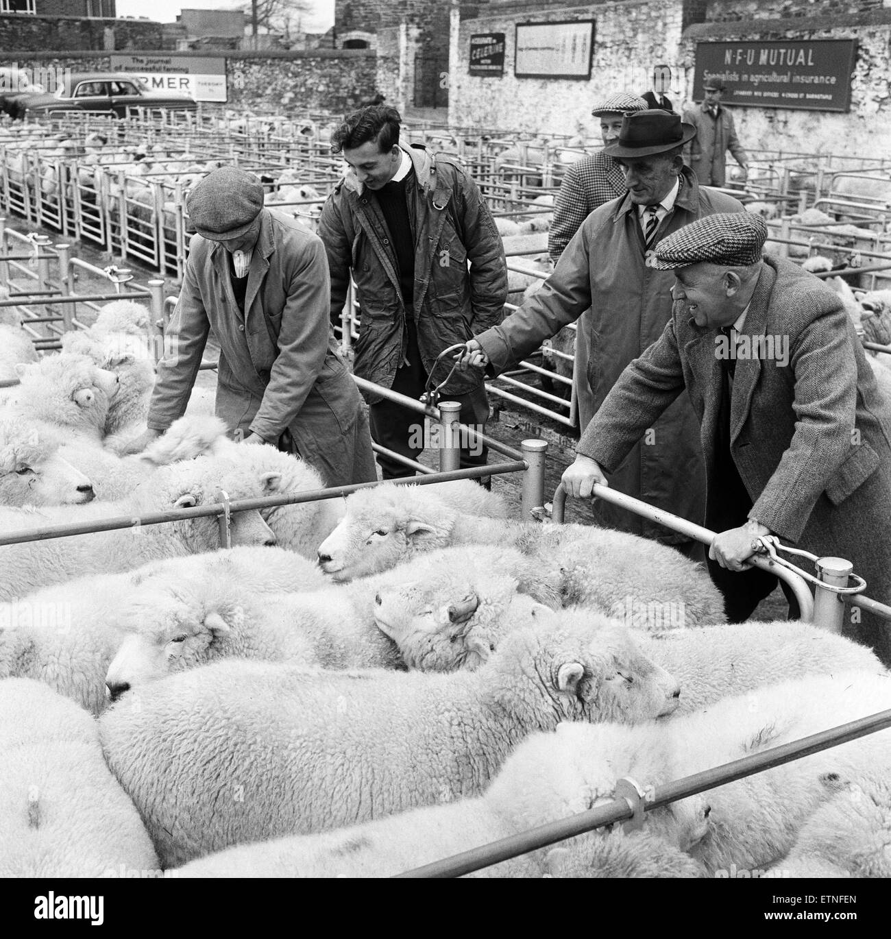 Scènes de marché à Barnstaple, North Devon. 9 janvier 1966. Banque D'Images