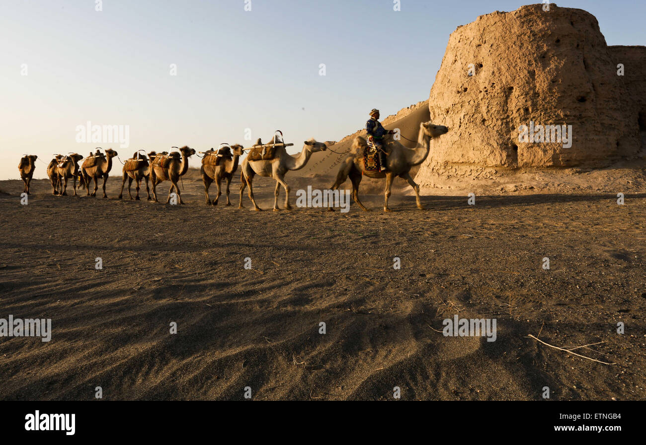 14 juin 2015 - Zhangye, Gansu, CHN - Zhangye, CHINE - 14 juin 2015 : (usage éditorial uniquement. La CHINE) Une équipe de chameau est vu pendant le coucher du soleil dans le désert de Badain Jaran Zhangye dans la province du Gansu. (Crédit Image : © SIPA/Asie ZUMA Wire) Banque D'Images