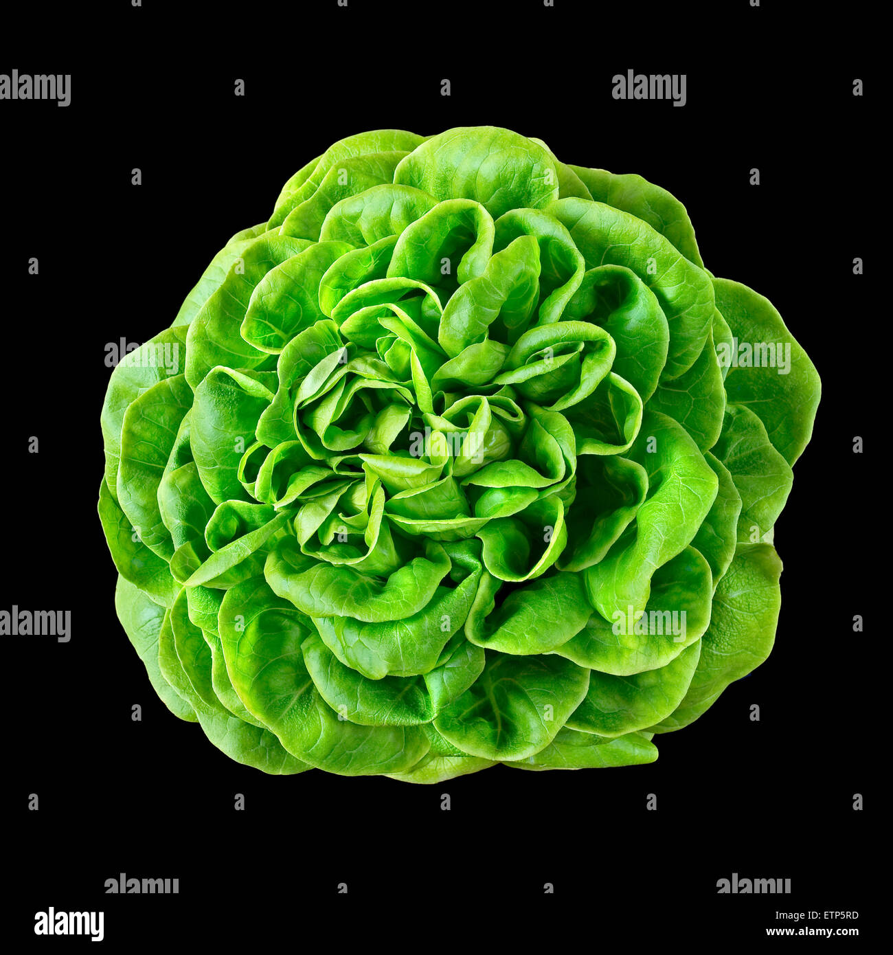 Batavia Banque de photographies et d’images à haute résolution Alamy