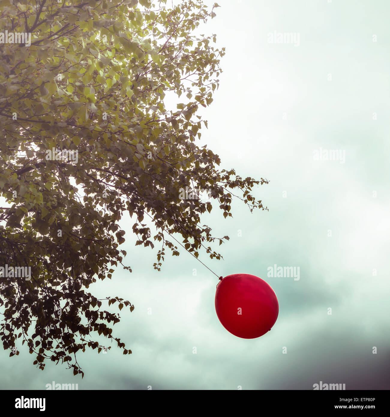 Un ballon rouge accroché à un arbre Banque D'Images
