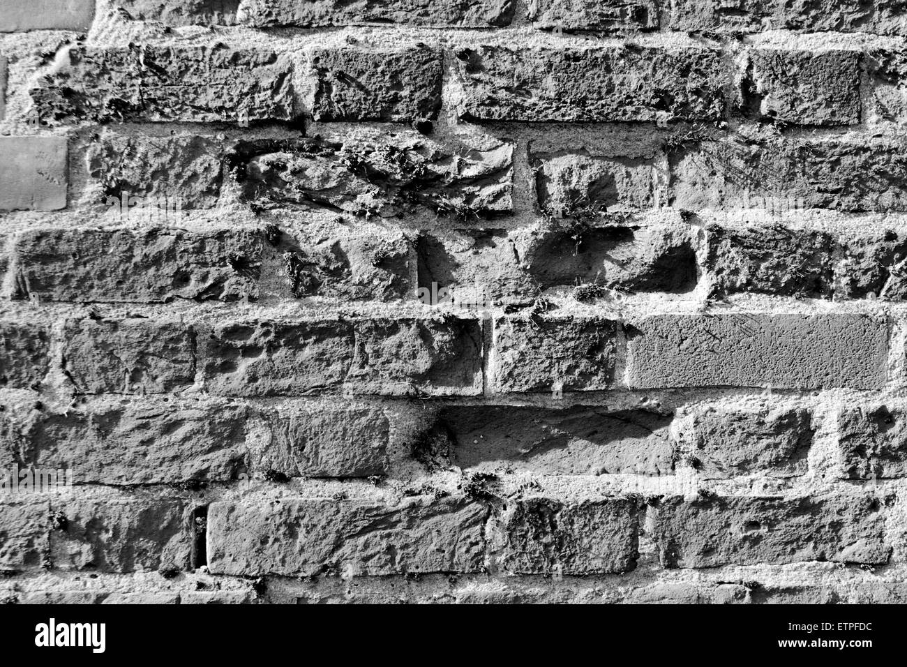 Un vieux mur de brique dans Holland Park, à l'ouest de Londres Banque D'Images