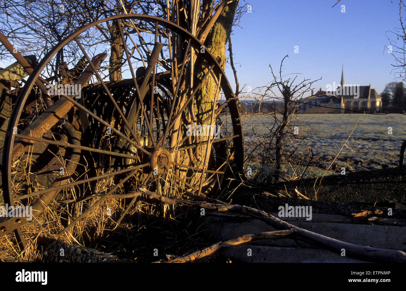 BEL, la Belgique, l'Est des Ardennes, près de tôt le matin, dans l'Astenet contexte le monastère Katharin. BEL, Belgien, Ostbelgien, Banque D'Images