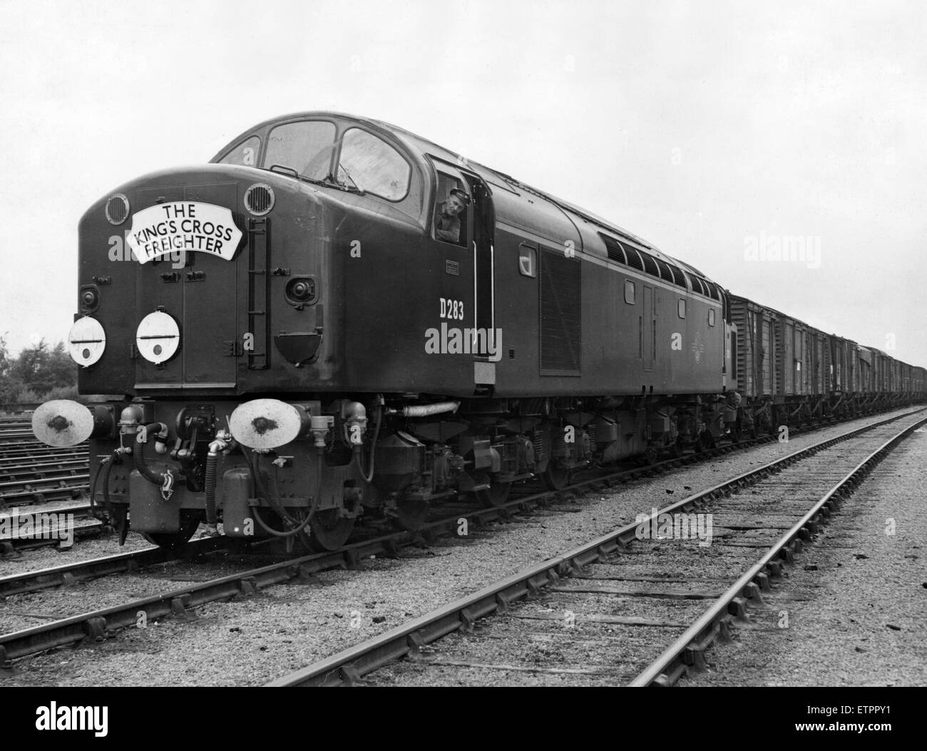 Le cargo de Kings Cross, le train de marchandises de classe C, au départ de Park Lane Depot, Gateshead à 1925h avec une assurance de King's Cross l'heure d'arrivée de 0520h. Le train a été l'objet d'un wagon 50 limite. Sur la photo, le 24 août 1960. La locomotive est un D283, type 4 diesel électrique train transporter des marchandises. Banque D'Images