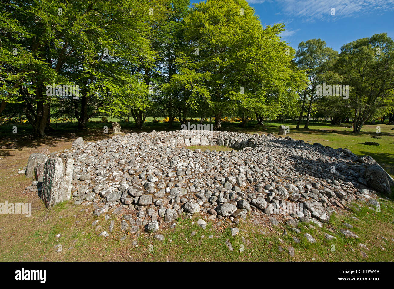 La sépulture néolithique préhistorique à l'Balnuran Clava Cairns, près de Culloden, Inverness-shire. 9880 SCO. Banque D'Images