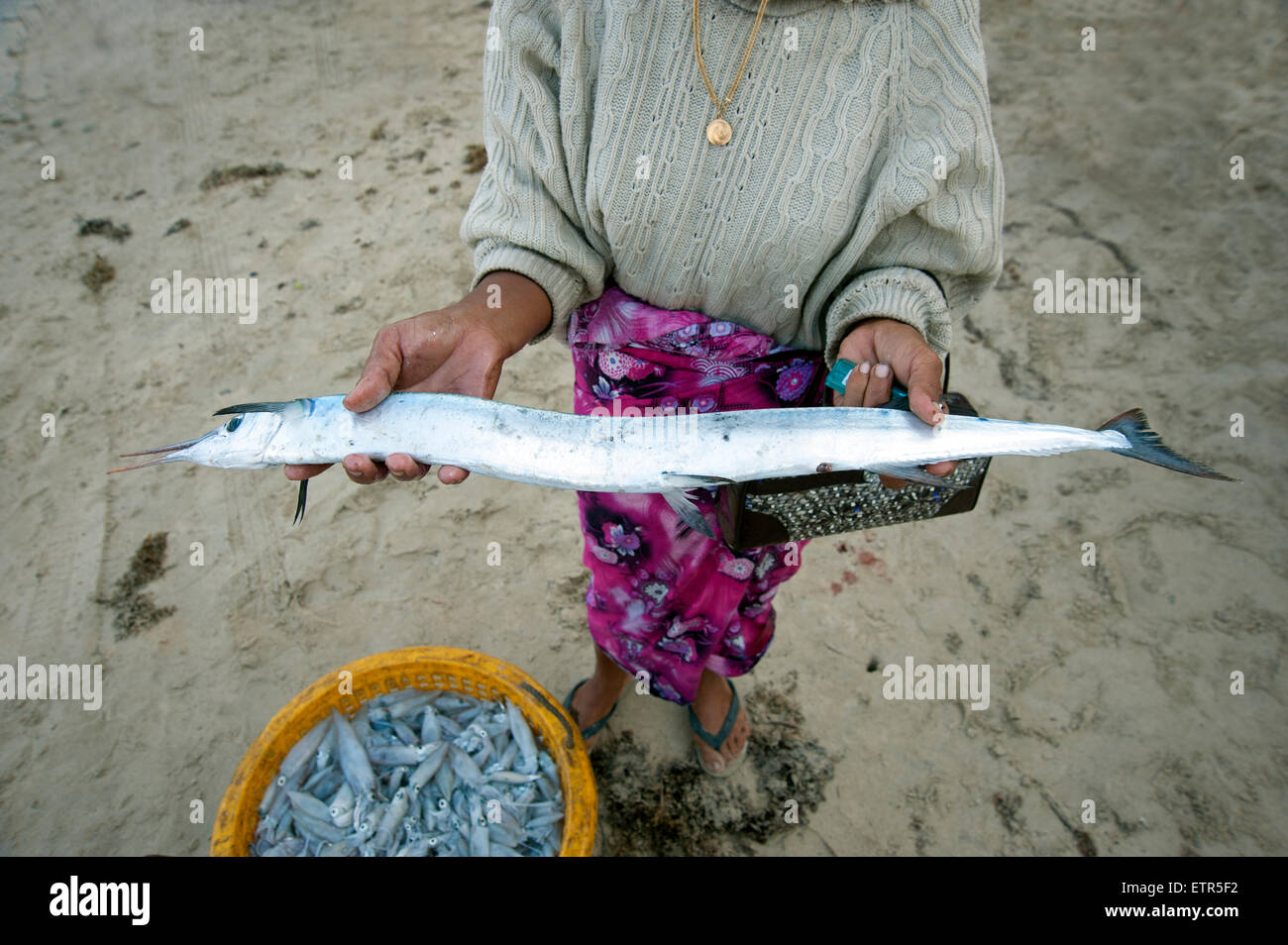 Femme birmane tenant un long poisson argenté au-dessus d'un seau d'encornet bébé à la plage de Ngapali Myanmar Banque D'Images