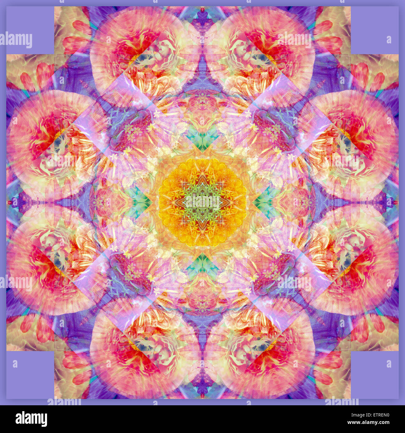 Travaux de couche multicolore symétrique des fleurs, Banque D'Images