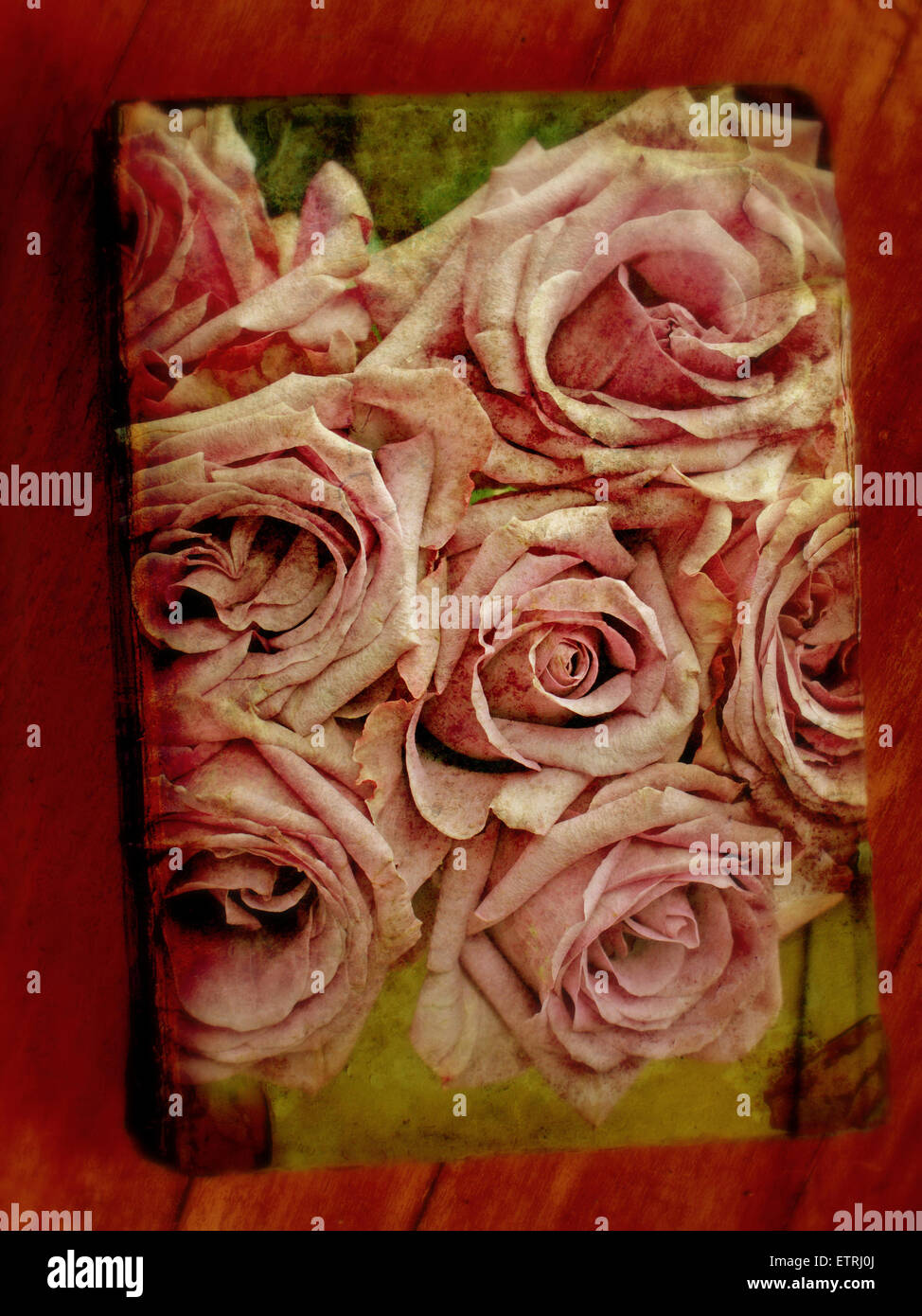 Montage de roses sur un vieux livre Banque D'Images