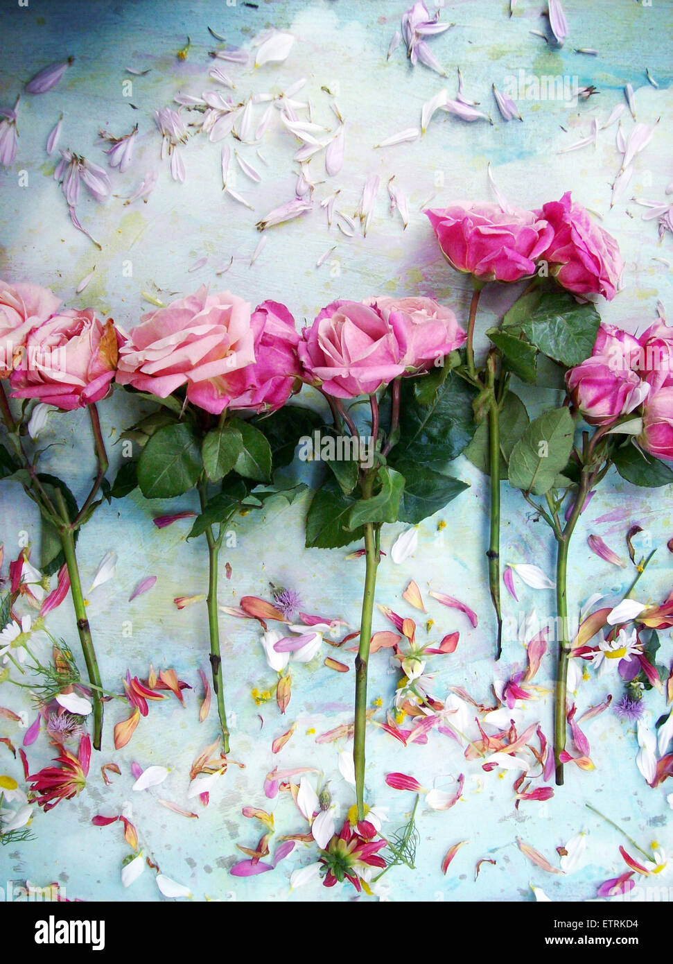 Un montage floral poétique de roses, Banque D'Images