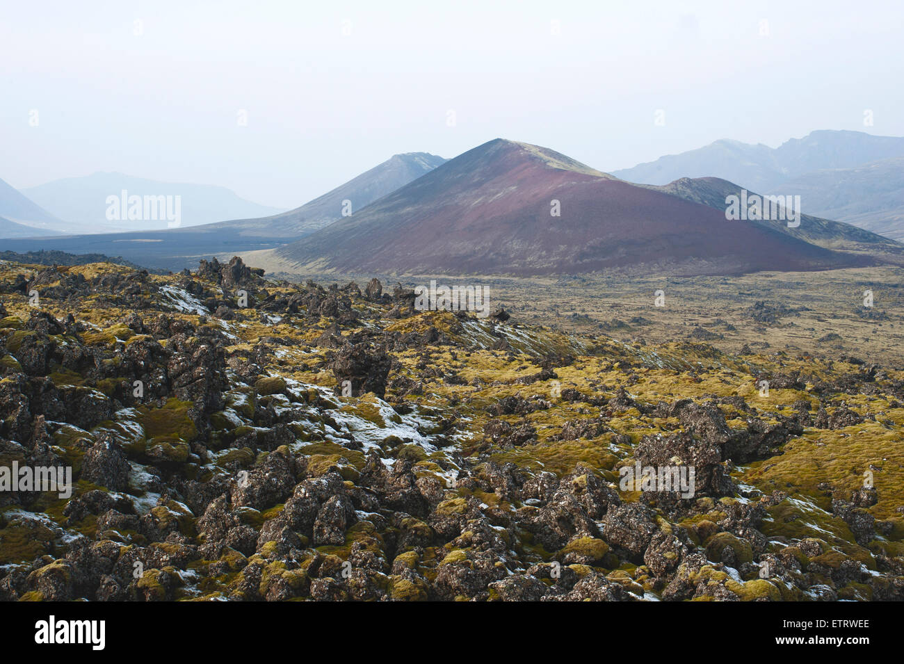 Lavafields Helgafellssveit Berserkjahraun,,, l'Islande, à l'ouest de Snæfellsnes Banque D'Images