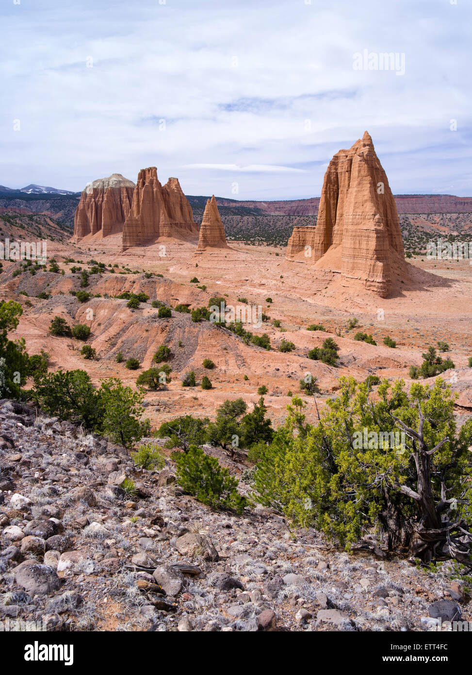 Portrait de la région de la vallée de la cathédrale de Capitol Reef National Park, avec le plateau et le lac sevier poisson national fores Banque D'Images