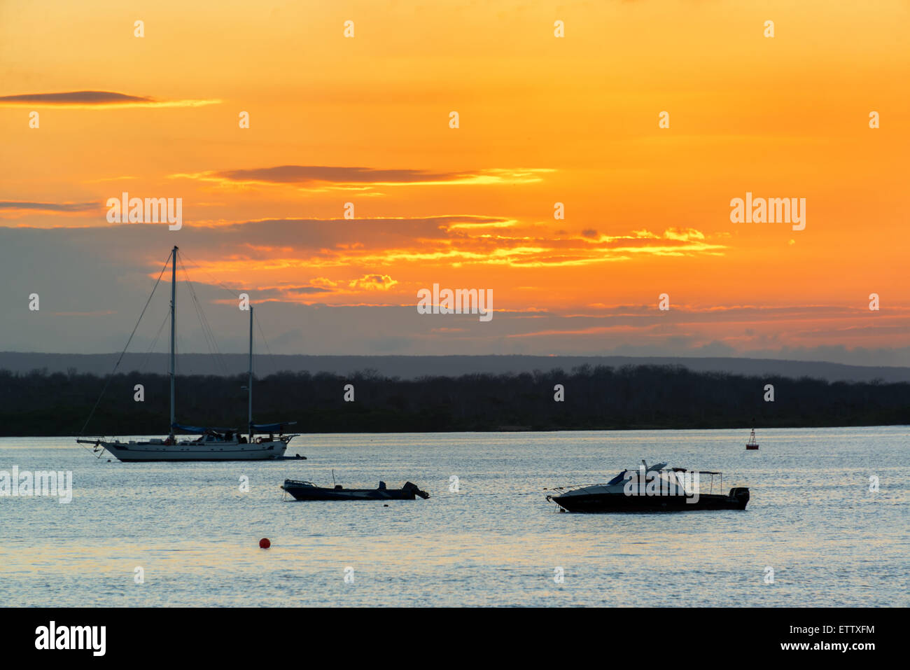 Coucher du soleil orange près de l'île de Santa Cruz dans les îles Galapagos en Équateur Banque D'Images