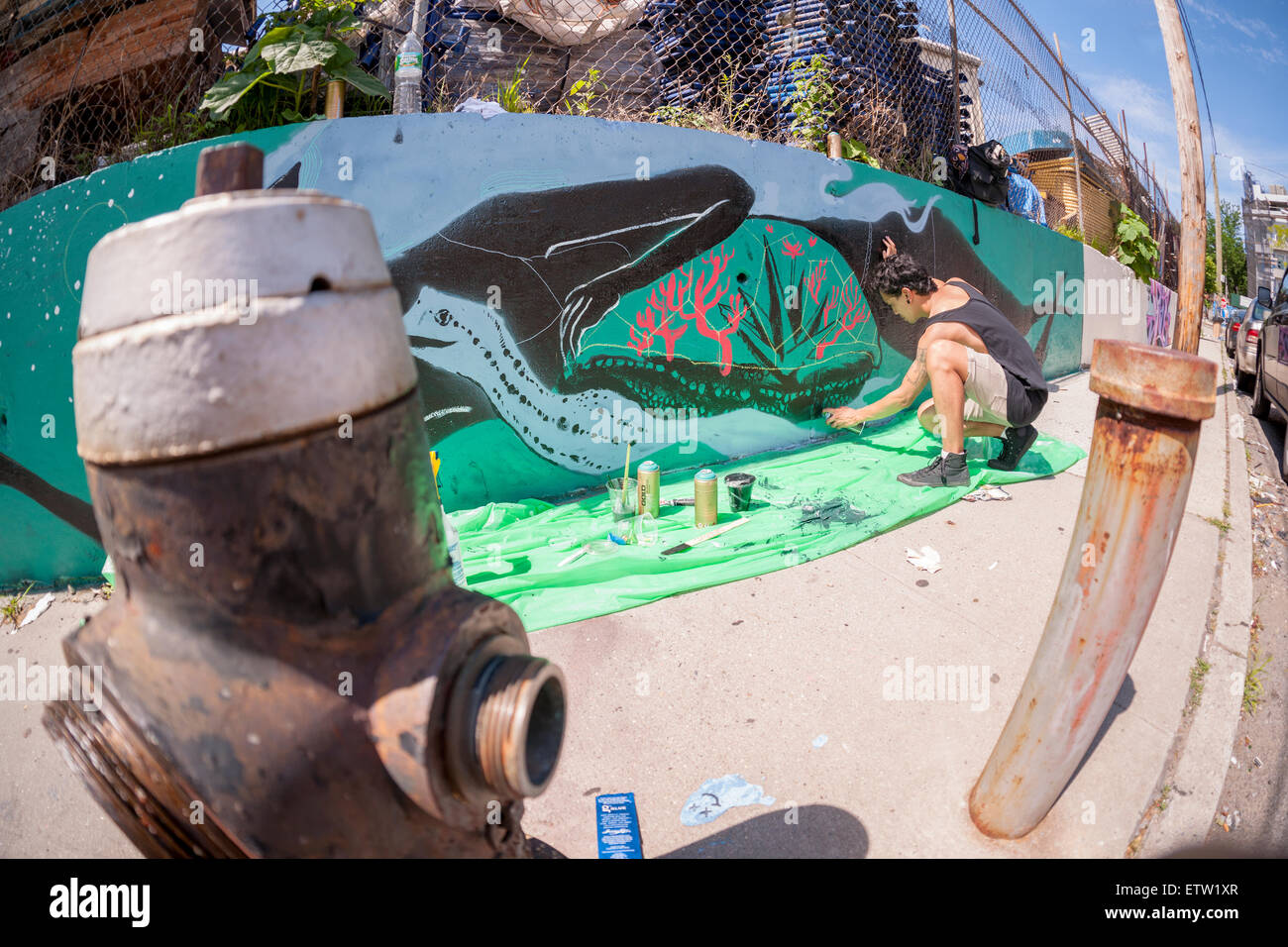 Artiste de rue Jerome Velasco au travail sur sa murale à la Cour Welling Projet mural dans le quartier du Queens Astoria à New York, le samedi, 13 juin, 2015. L'assemblée annuelle de l'événement quartier décore les murs de cette partie industrielle de Astoria. Le projet est financé par la foule et les nouveaux artistes de rue travaillent côte à côte avec des étoiles. (© Richard B. Levine) Banque D'Images
