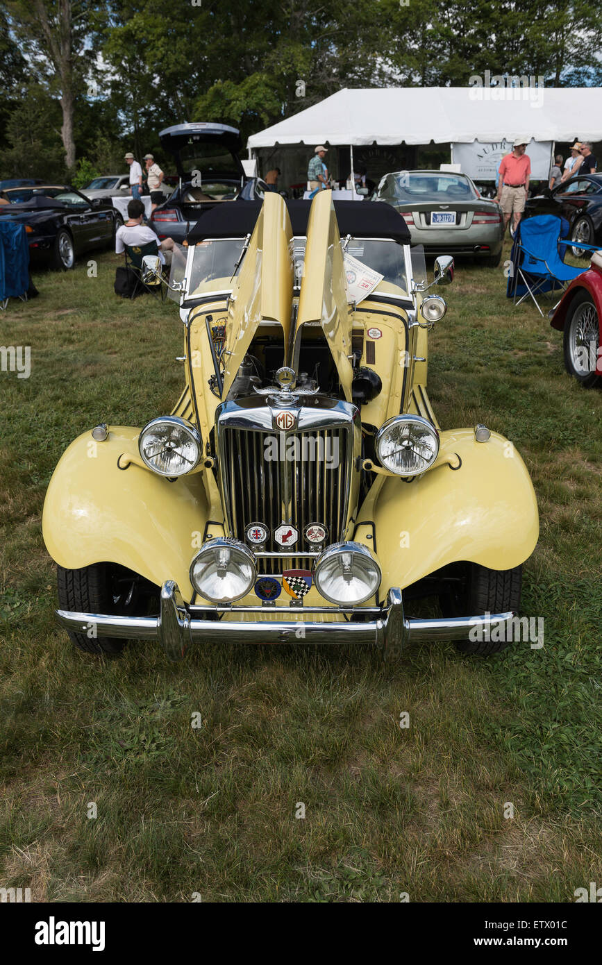 Voitures anciennes à une exposition de voiture Banque D'Images