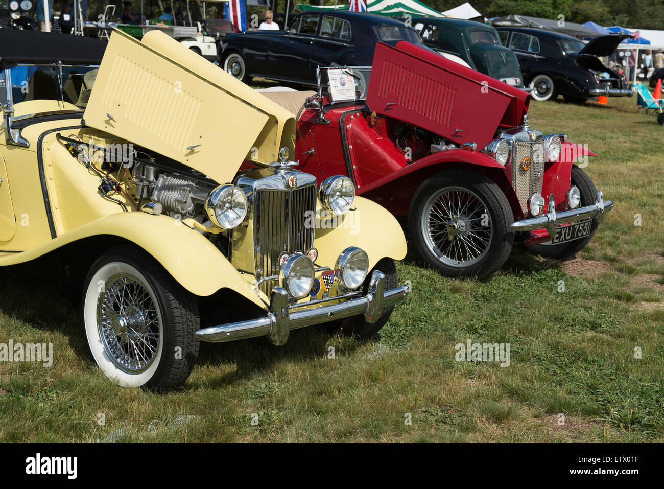Voitures anciennes à une exposition de voiture Banque D'Images