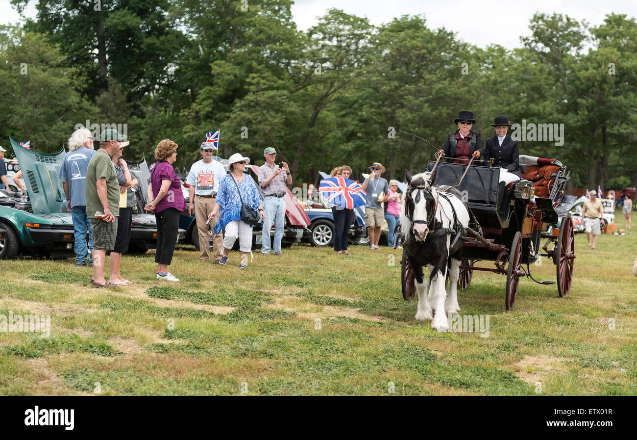 Voitures anciennes à une exposition de voiture Banque D'Images
