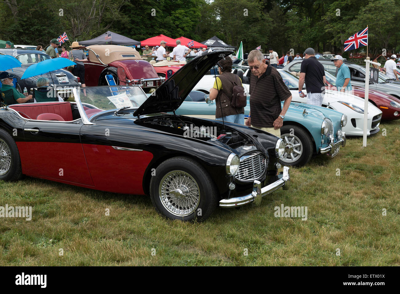 Voitures anciennes à une exposition de voiture Banque D'Images