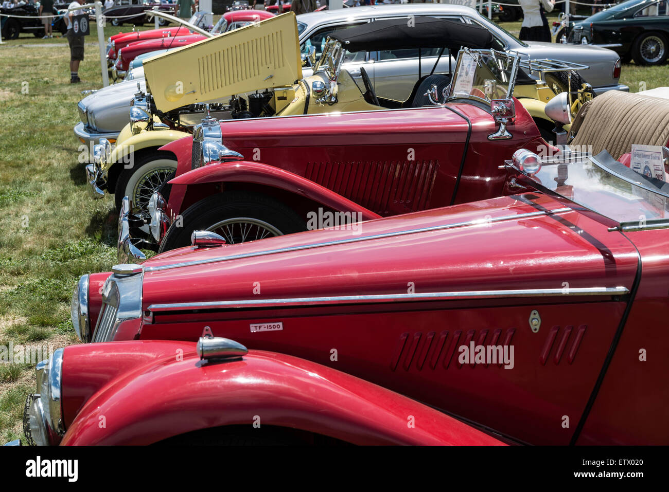 Voitures anciennes à une exposition de voiture Banque D'Images