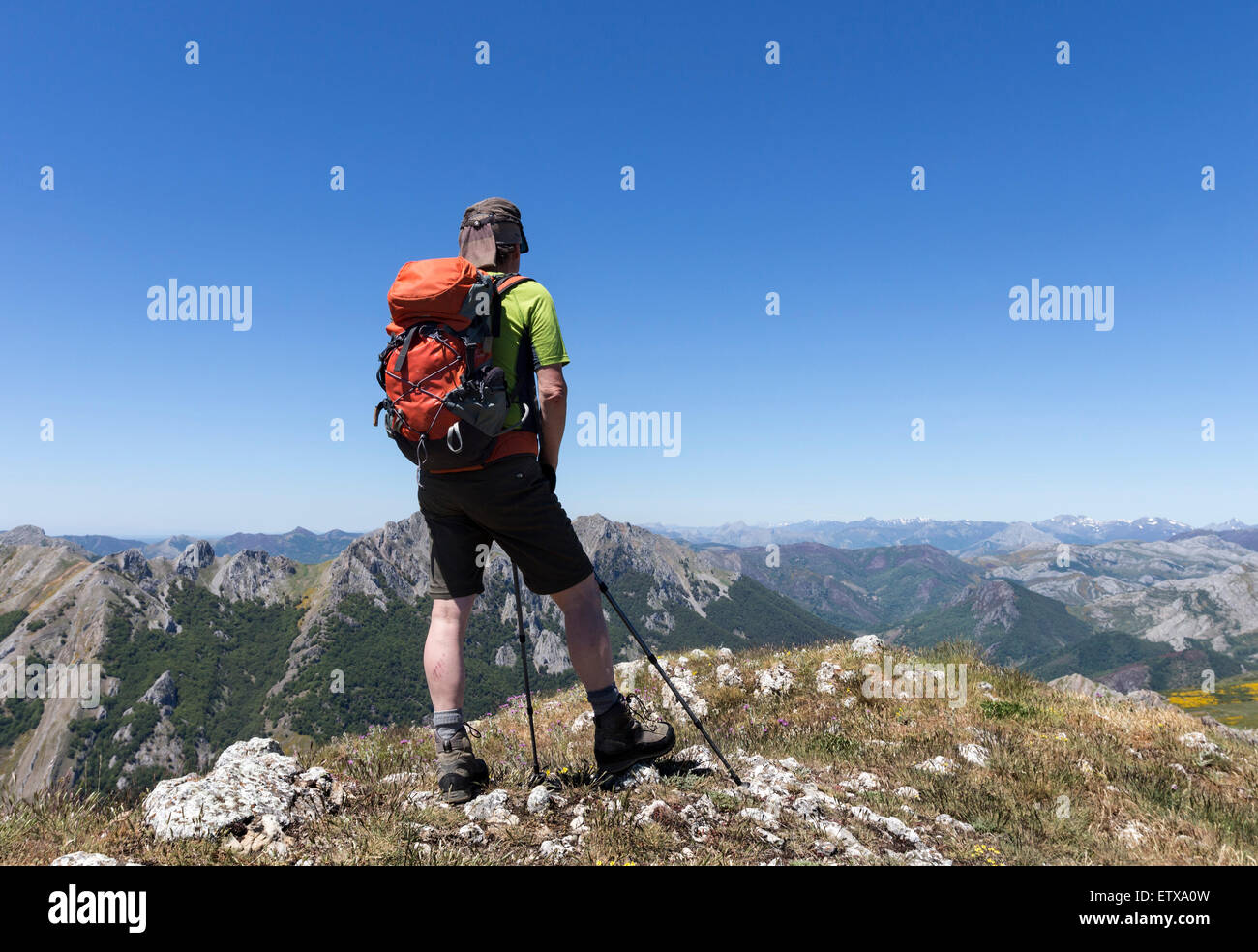 Walker sur le sommet du Pico Hato, avec la vue sur les Picos de Europa, Riano, Cordillère cordillère cantabrique Espagne Banque D'Images