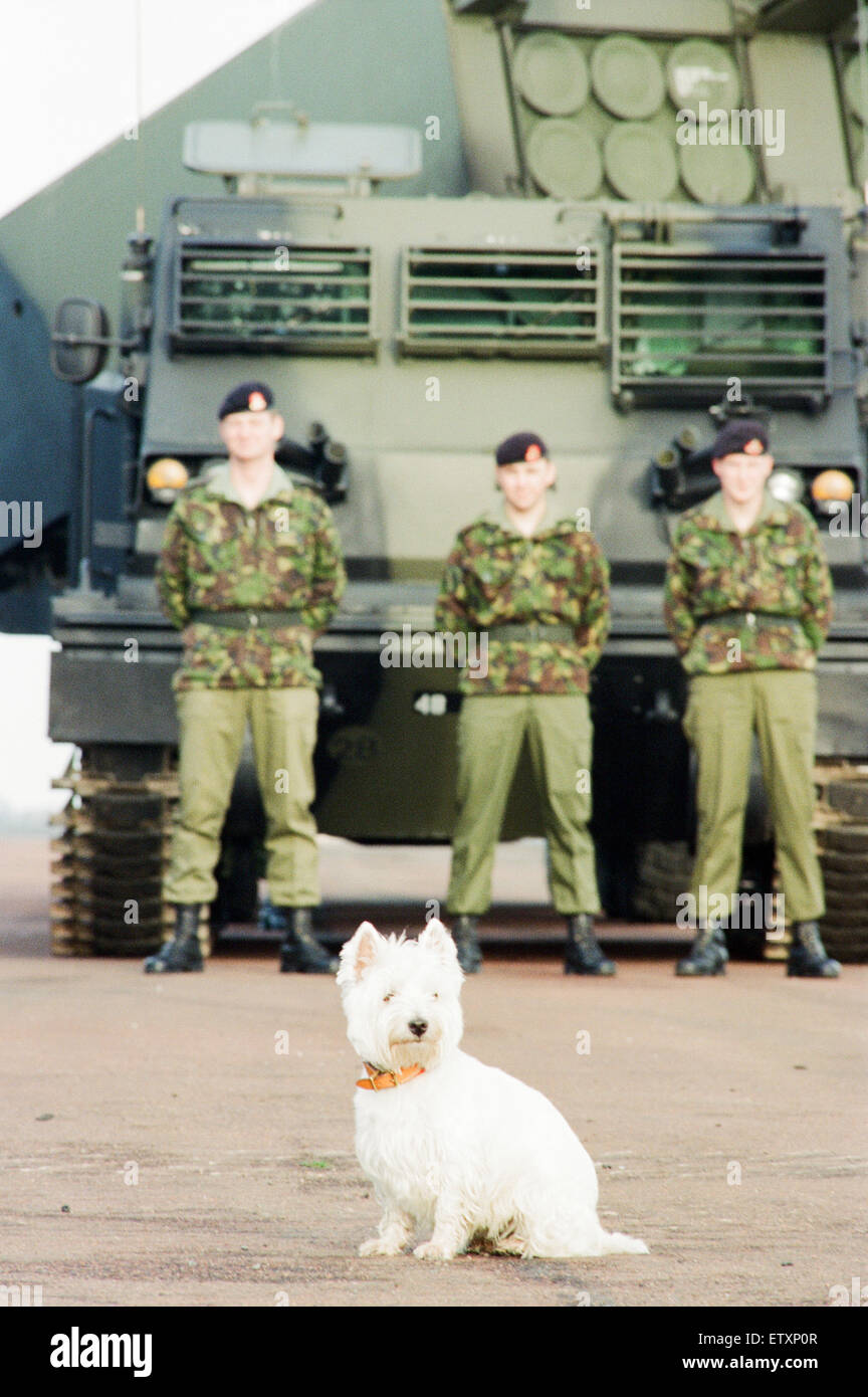 39e Regiment Royal Artillery, une partie de la 1ère Brigade d'artillerie, alias le Welsh Gunners, montrer leurs système de lance-roquettes multiple à Albemarle Barracks, Northumberland, le 9 novembre 1995. Sur la photo, Judy, le West Highland Terrier, administré par Regimental Ser Banque D'Images