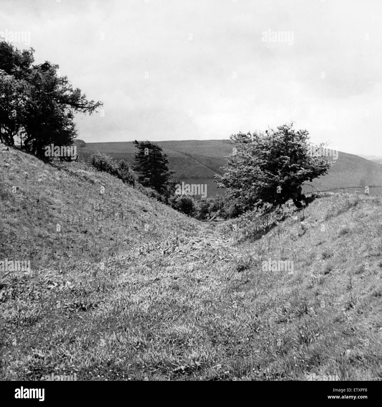 Offa's Dyke est un gros terrassement linéaire qui suit plus ou moins la frontière actuelle entre l'Angleterre et au Pays de Galles. Vers 1950. Banque D'Images