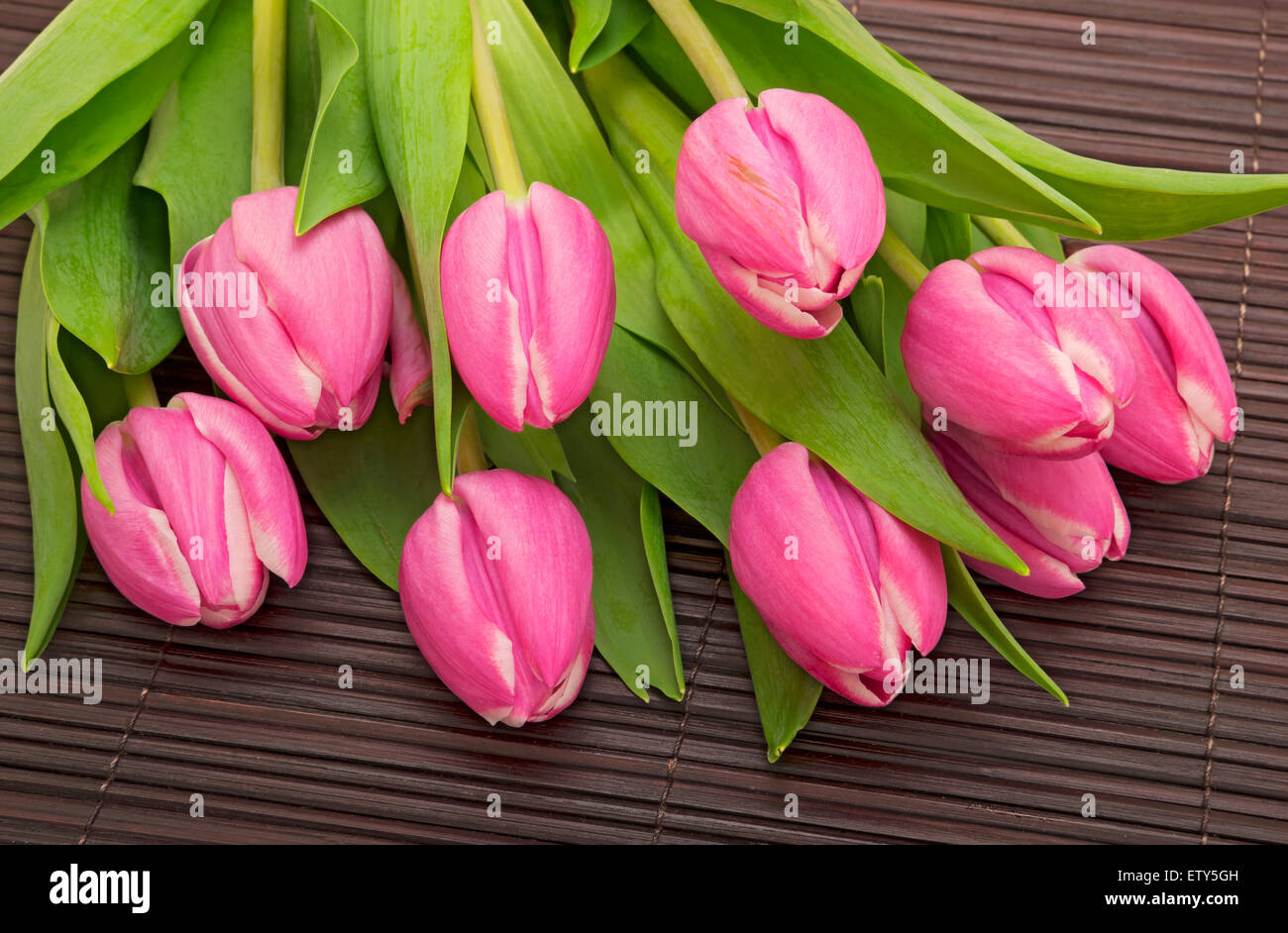 Gros plan d'un bouquet de tulipes roses fraîchement coupées fleurs de tulipes Banque D'Images