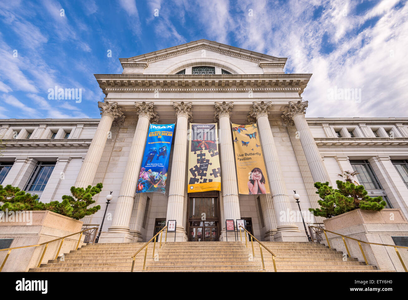 Le Musée National d'Histoire Naturelle à Washington DC. Banque D'Images